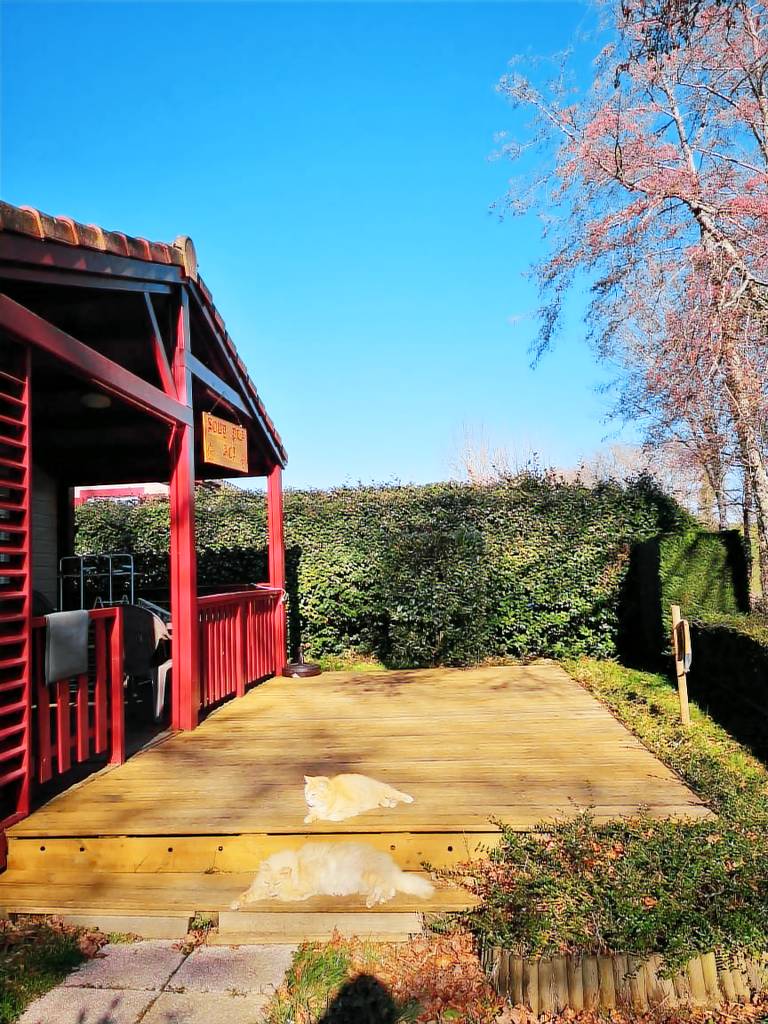 Chalet Estang