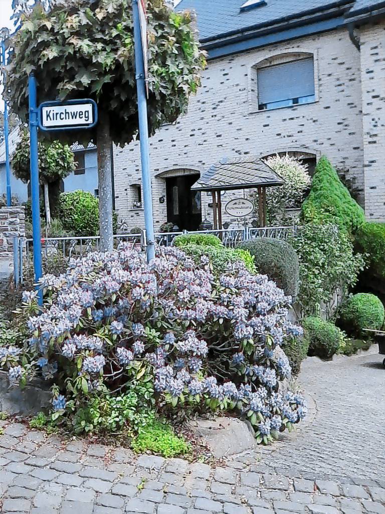 foto3