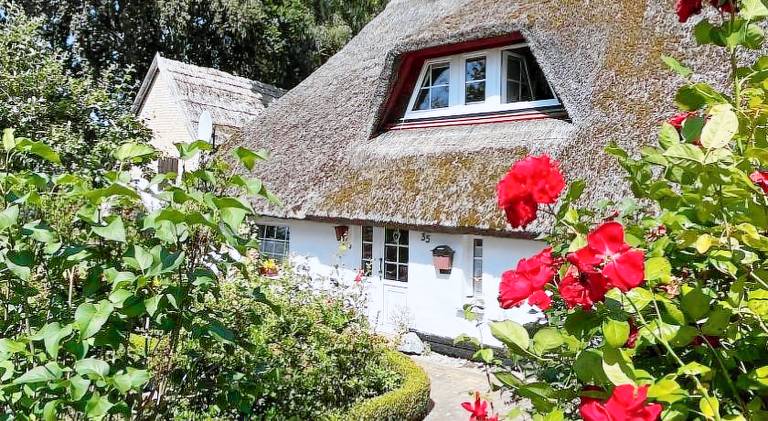Holiday apartment with 1 room for 3 persons in Ostseebad Baabe