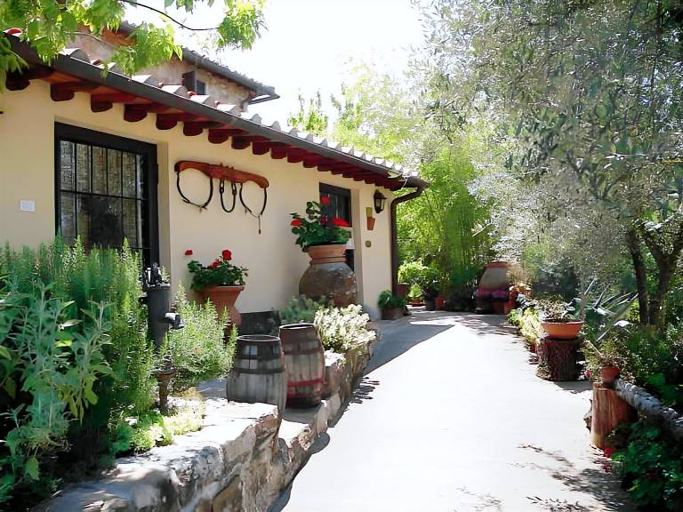 Beautiful farm with pool, yard & terrace | Pets are welcome in Fiesole