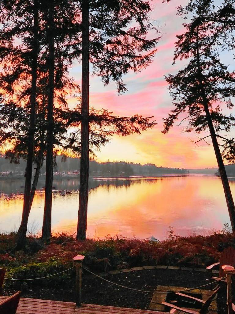 Cabin  Shelton