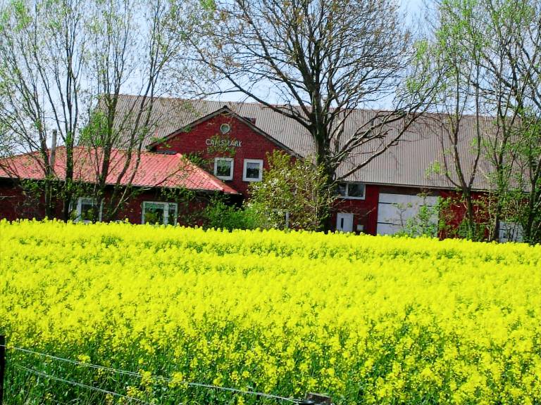 Ferienwohnung Süderlügum