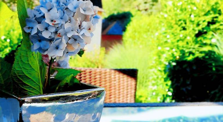 Rental apartment with terrace, barbecue & yard — photo 5