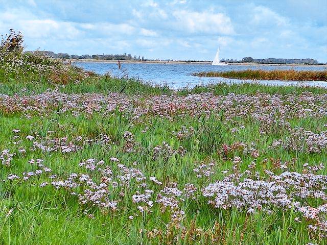 Ferienhaus in Vieregge f&uuml;r max. 7 Personen