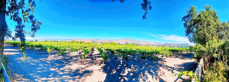 House  Yountville