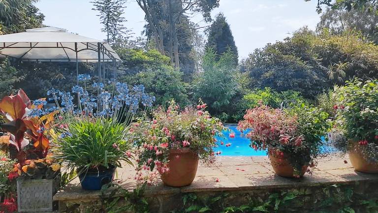 Bed and breakfast  Chelwood Gate
