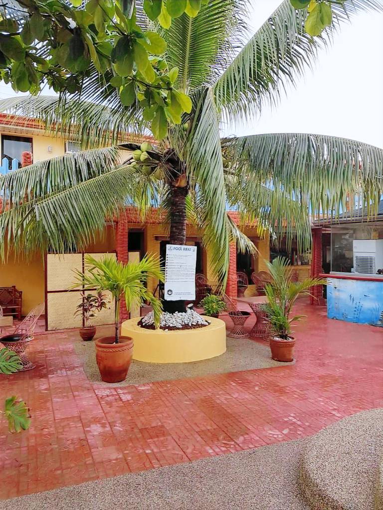 Treasure Island Resort — photo 3