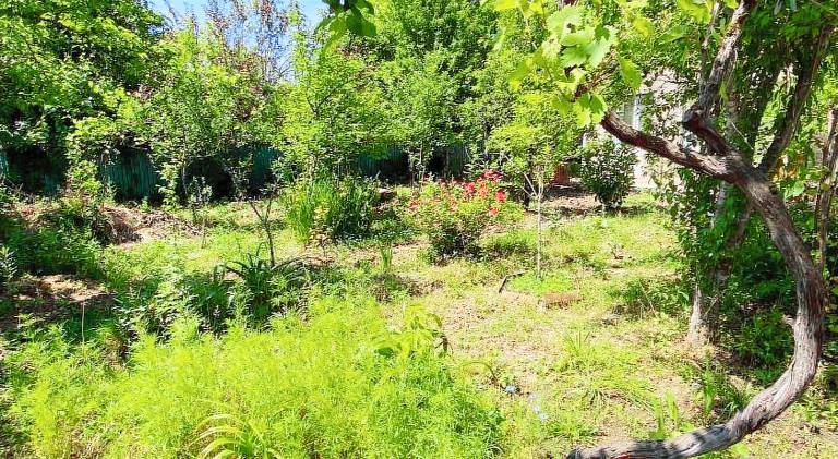 Holiday apartment with 1 room for 2 persons — photo 3