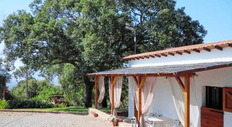 Nice vacation home with jacuzzi | Dogs allowed in Scansano
