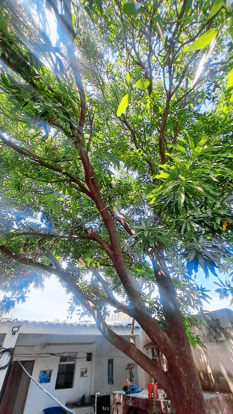 Samaringo Hospedaje — photo 4