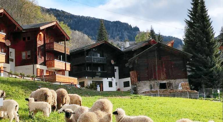 Ferienwohnung Belalp