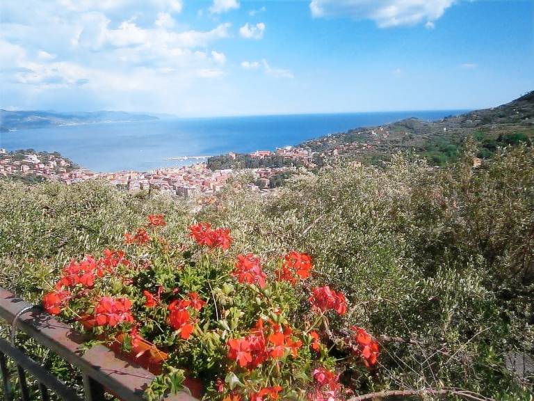 foto2