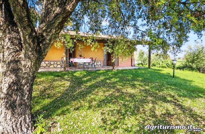 Podere del Gesso: Toro — photo 5