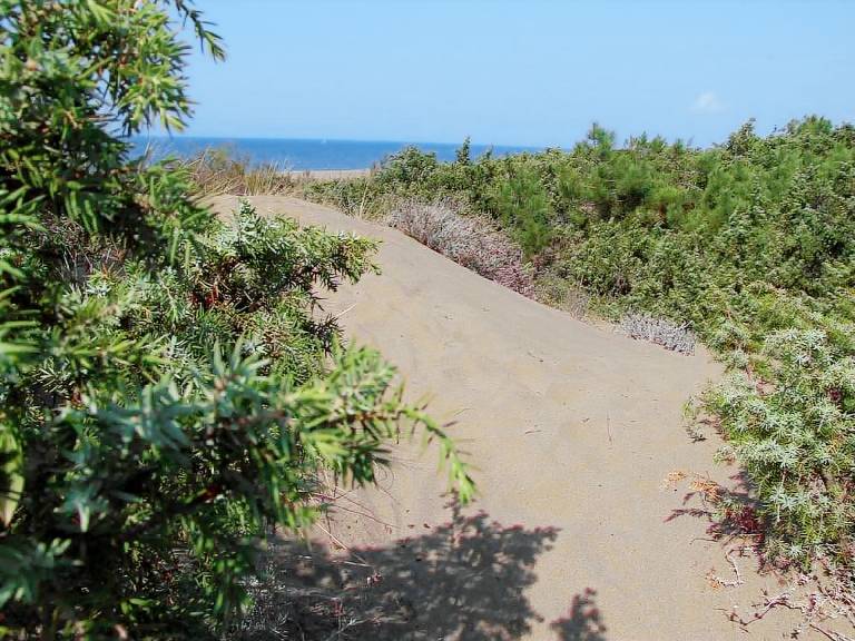 Ferienwohnung in Marina di Castagneto Carducci für max. 3 Personen Ferienwohnung in Marina di Castagneto Carducci für max. 3 Personen