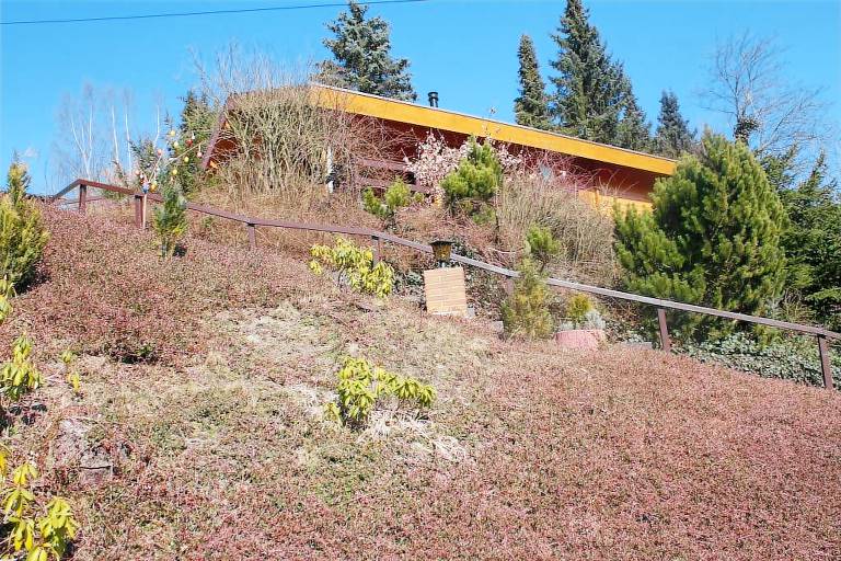 Chalet Willingen (Upland)