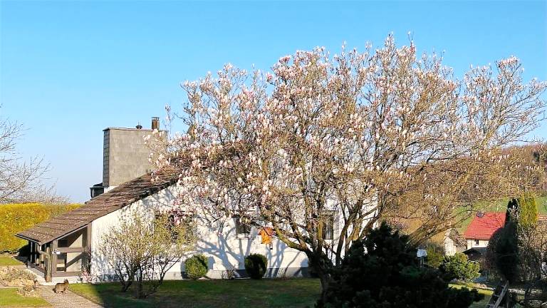 Ferienwohnung Beverungen