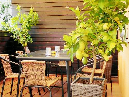 Apartman Bükkzsérc