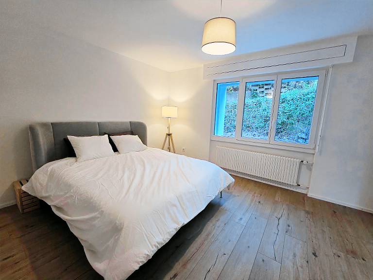 Appartement Farvagny