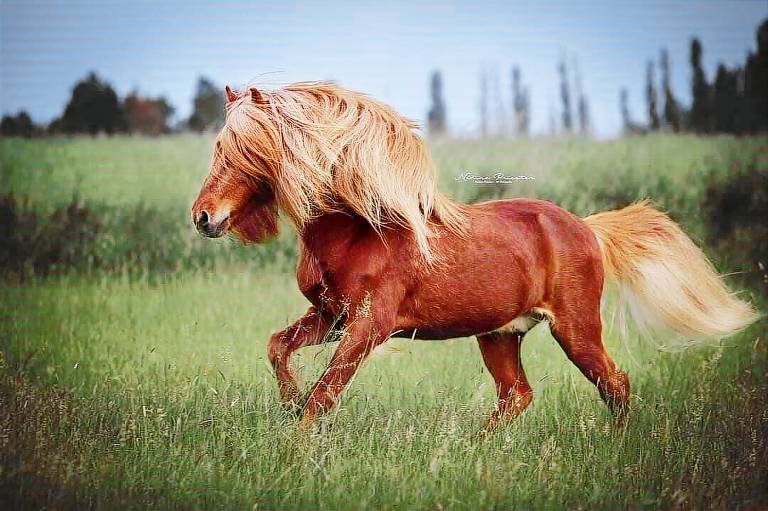 Ferienwohnung  Melsungen