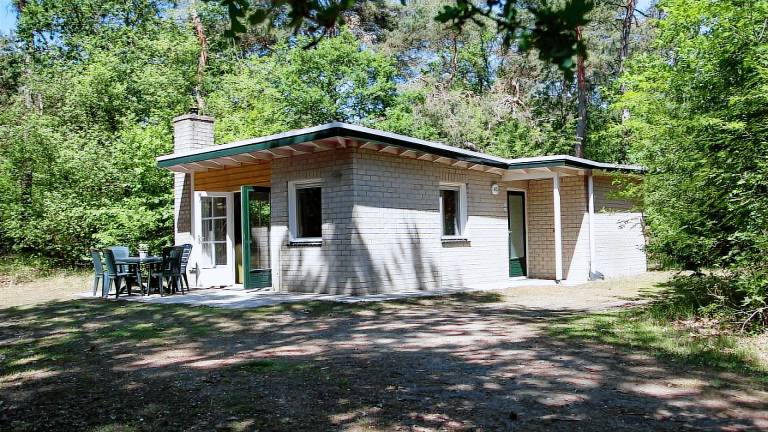 Bungalow für 6 Personen 75 m² in Dwingeloo
