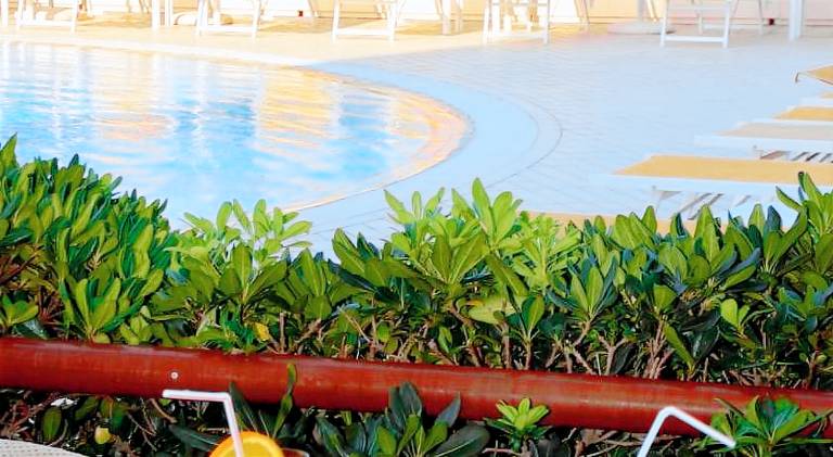 Hotel David — photo 3