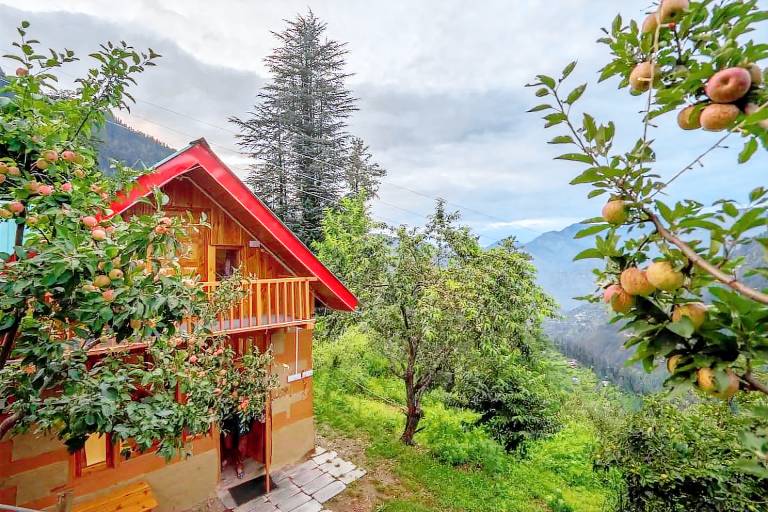 Farm | Dogs allowed in Kullu
