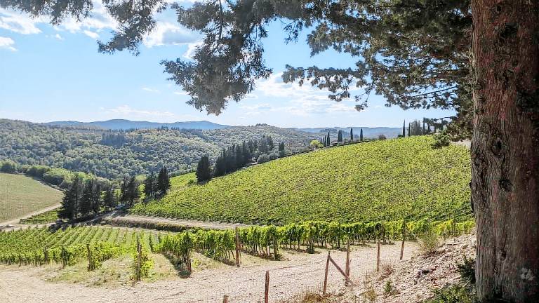 Appartamento Gaiole In Chianti