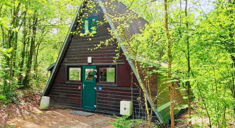 Chalet with pool — photo 4