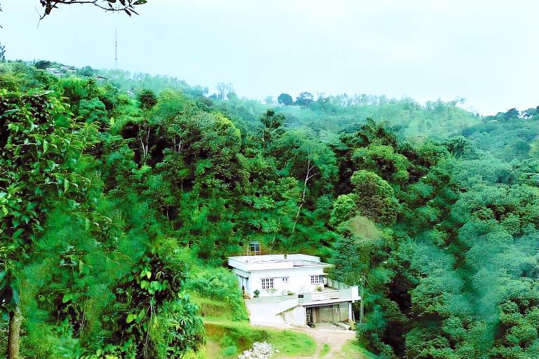 House with pool | Perfect for remote work in Madikeri