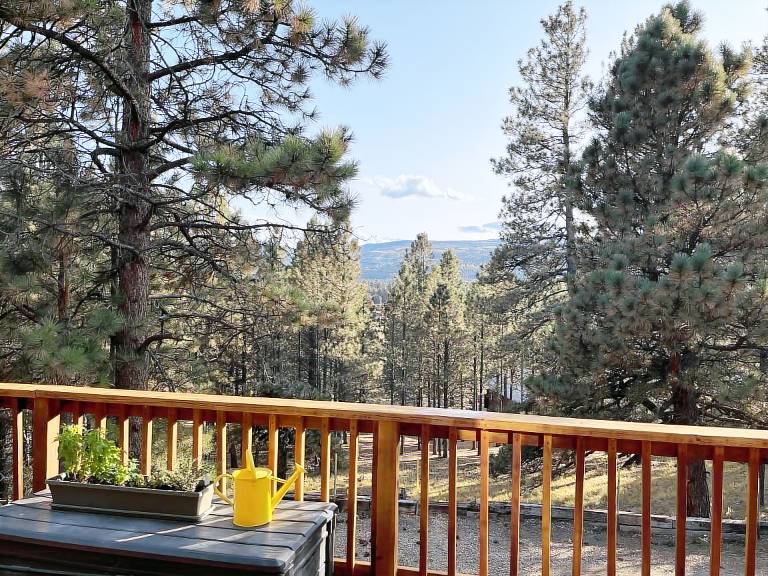 Cabin Angel Fire