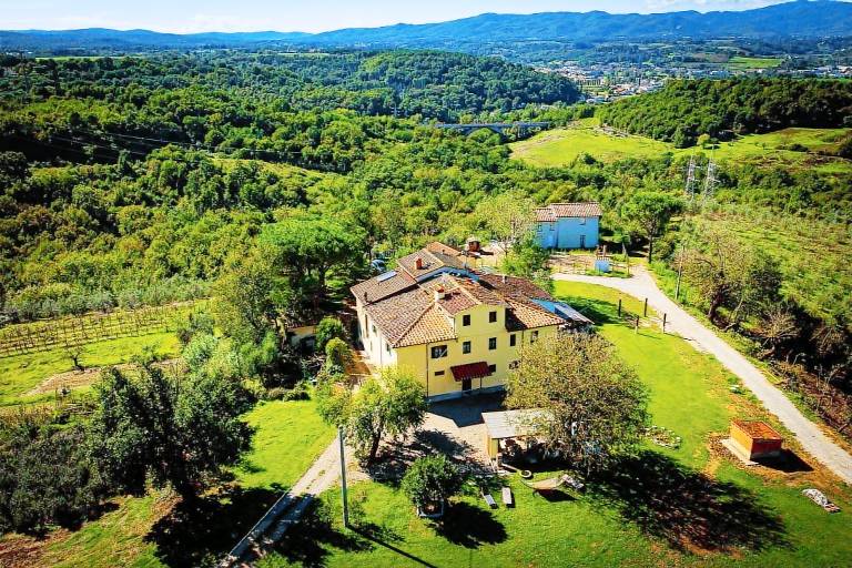 Ferienhaus Montevarchi