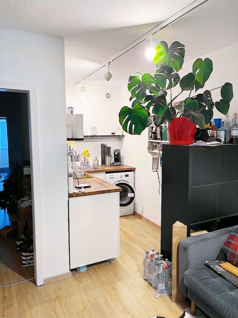 foto1