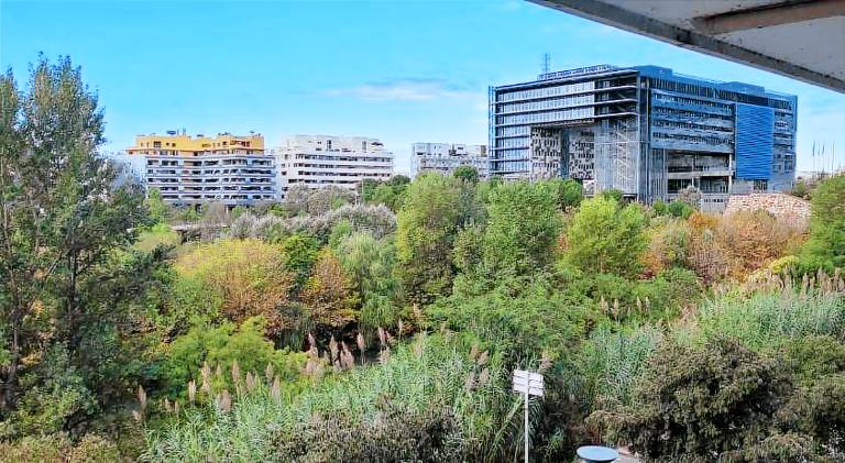 Spacieux T3 Standing Parking prive centre ville Montpellier - Maconciergerie34 — photo 5