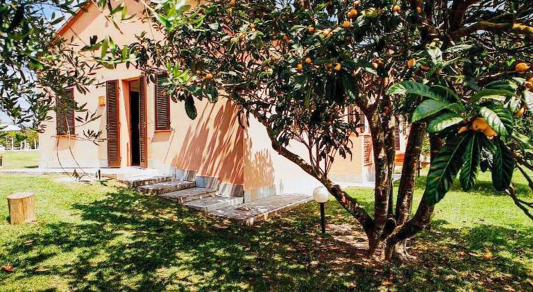 Vacation home with terrace, pool & yard — photo 5