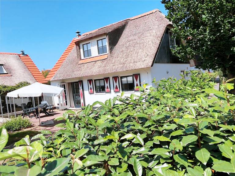 House with yard & terrace in Callantsoog