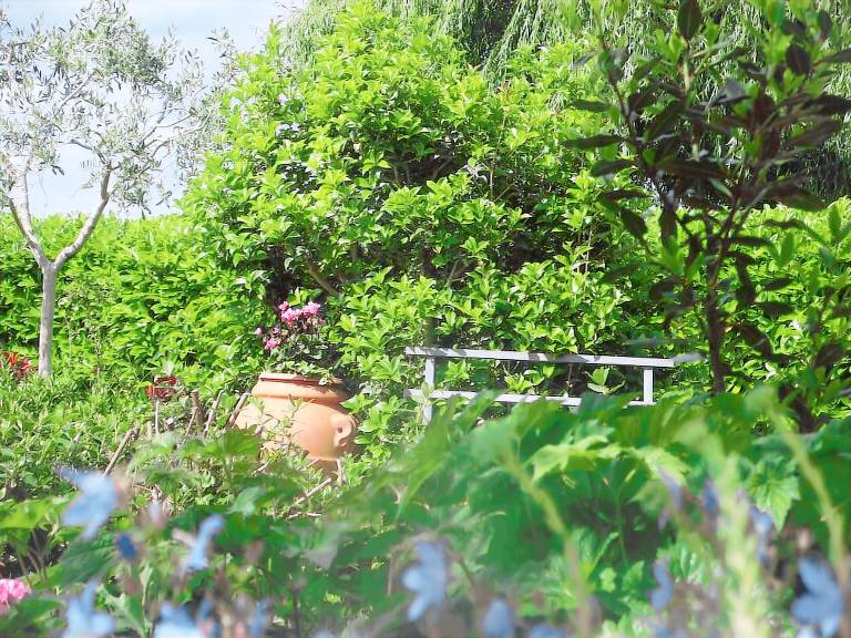 Pension  Arezzo
