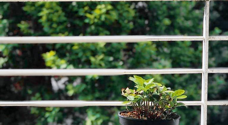 Holiday apartment | Pet-friendly in Cittadella