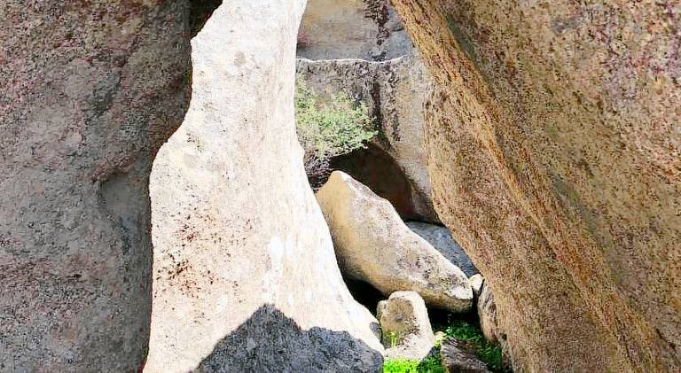 Li Casacci — photo 2