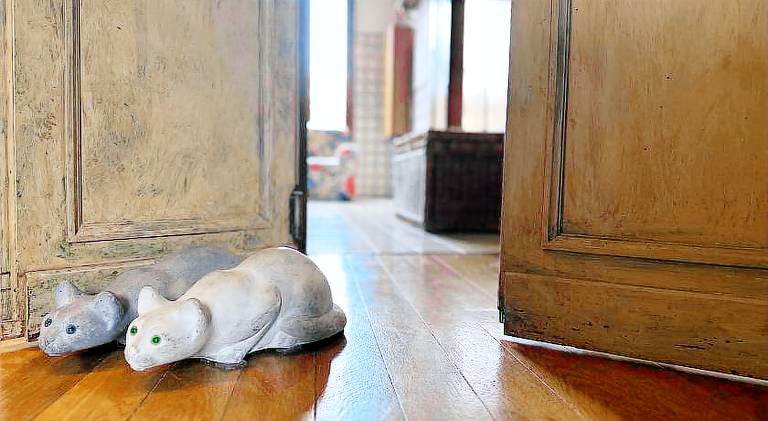 Nice rental apartment | Close to Rialto Bridge | Pets allowed — photo 5