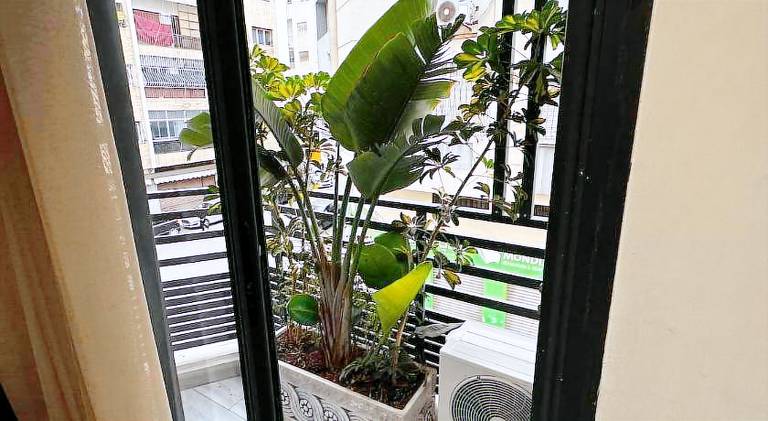 Holiday apartment | Dogs allowed — photo 5