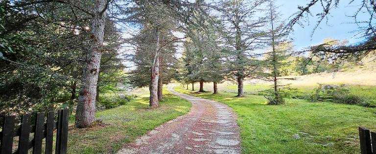 Charming gite with barbecue, terrace & garden | Pet-friendly — photo 4