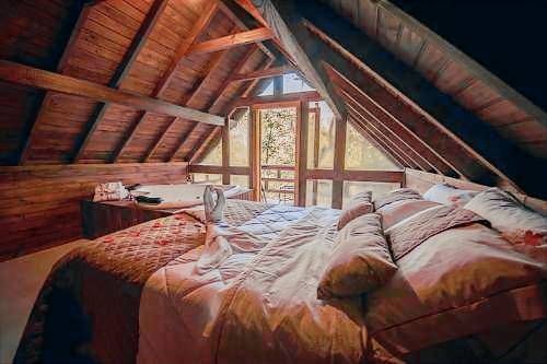 Chalet  Canela