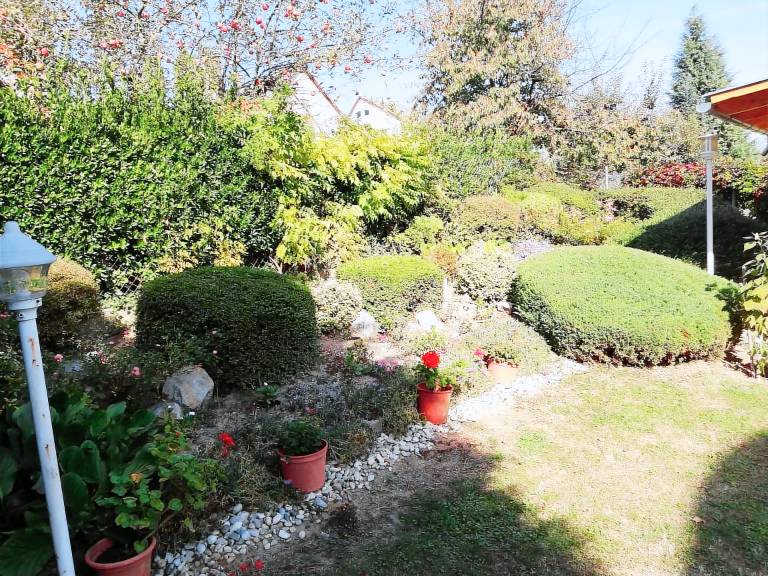 Lovely apartment with yard, grill & patio | Pet-friendly — photo 4