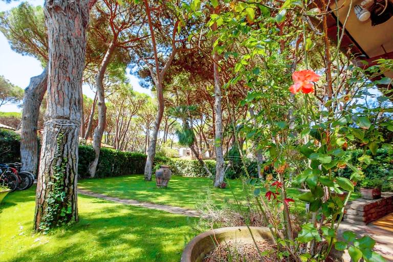 Villa with patio & yard | Garden view — photo 4