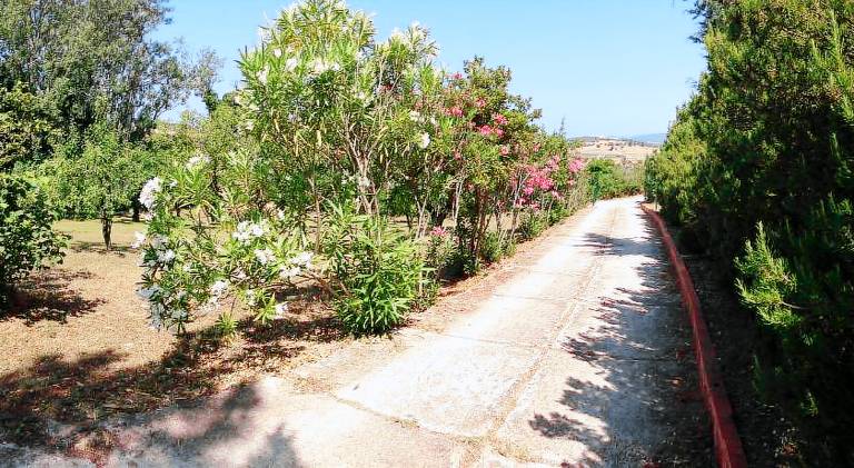 Ferienhaus  Chalkidiki