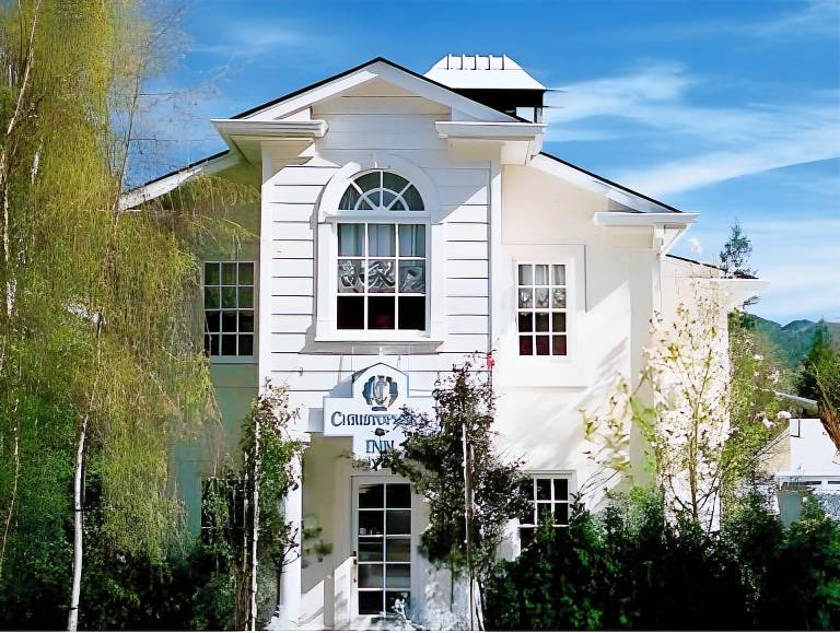 The Bergson BW Signature Collection