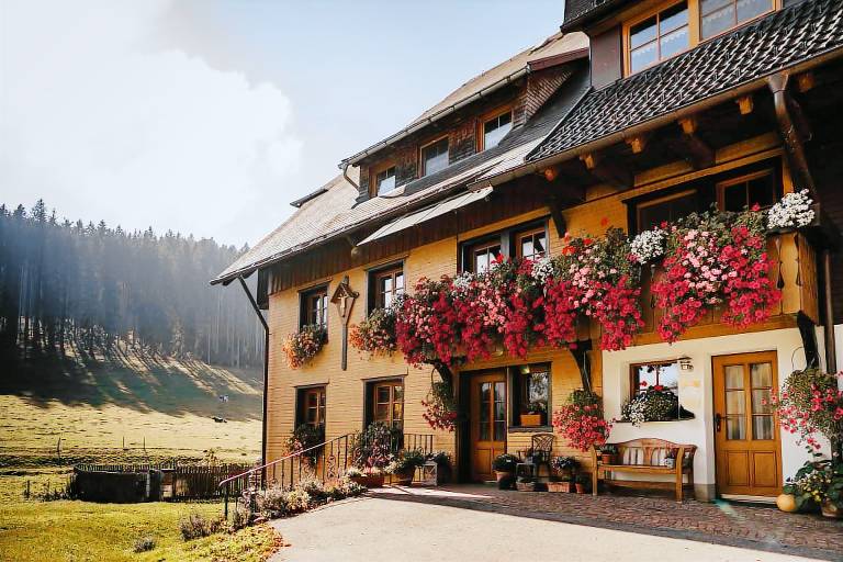Apartment  Neustadt