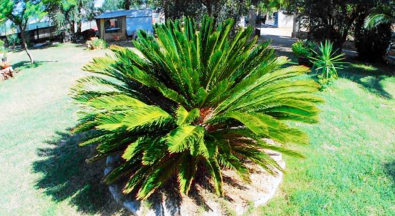 Ville le Palme — photo 4