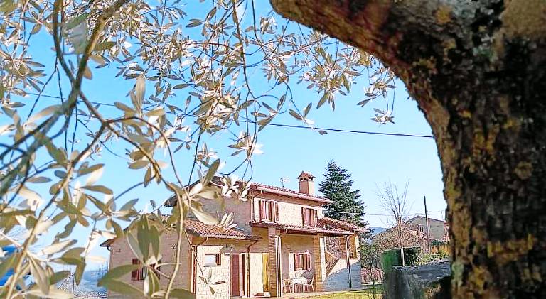 Vacation home | Pet-friendly in Assisi