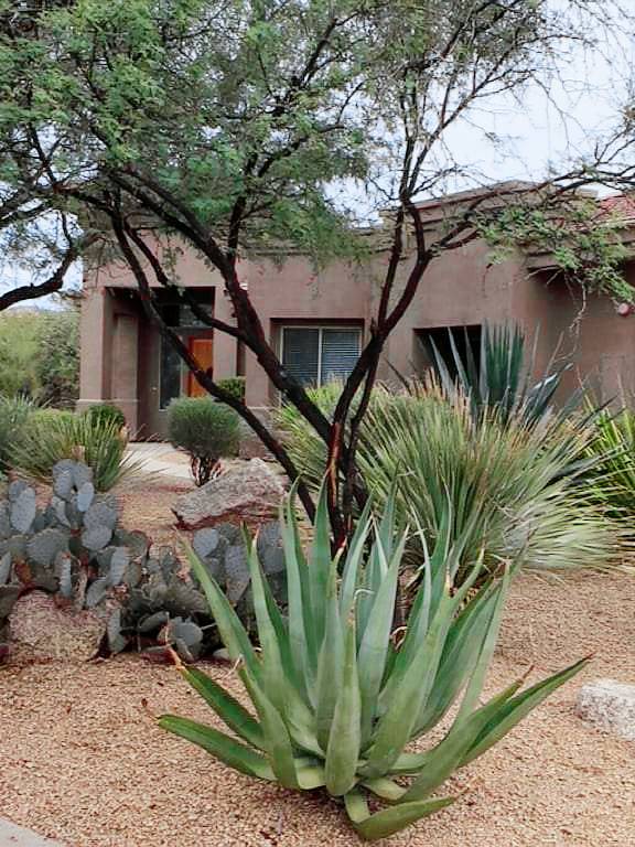 Villa Winfield